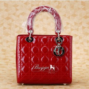 Lady Dior Bag Small Red Pattern Leather (Silver)