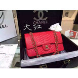 Chanel Real python leather flap bag