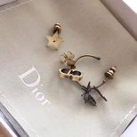 Dior stars earrings