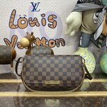 Louis Vuitton Favorite MM N41129