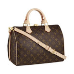 Louis Vuitton Speedy 30 with Shoulder Strap