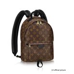 Louis Vuitton PALM SPRINGS BACKPACK PM