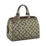 Louis Vuitton Monogram Sunshine Express Speedy