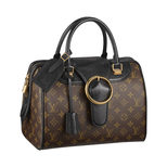 Louis Vuitton Speedy Golden Arrow