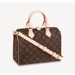 Louis Vuitton SPEEDY BANDOULIERE 25