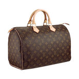 Louis Vuitton Speedy 30 M41108