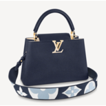 Louis Vuitton CAPUCINES MM