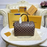 Louis Vuitton SPEEDY BANDOULIÈRE 25